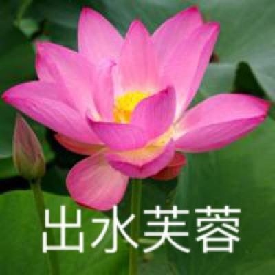 天境奇缘游戏下载